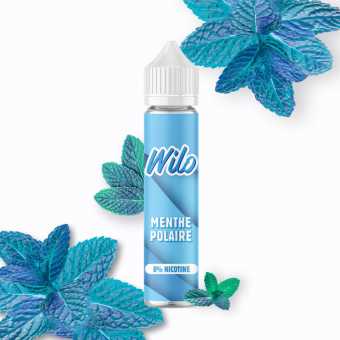 Menthe Polaire 50ml