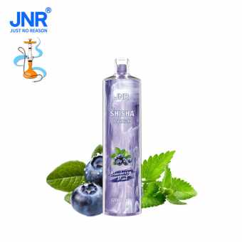 Shisha Hookah Blueberry Mint