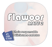 Kit Menthol Premium - FLAWOOR MATE 2